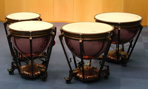 ティンパニアダムスプロフェッショナル